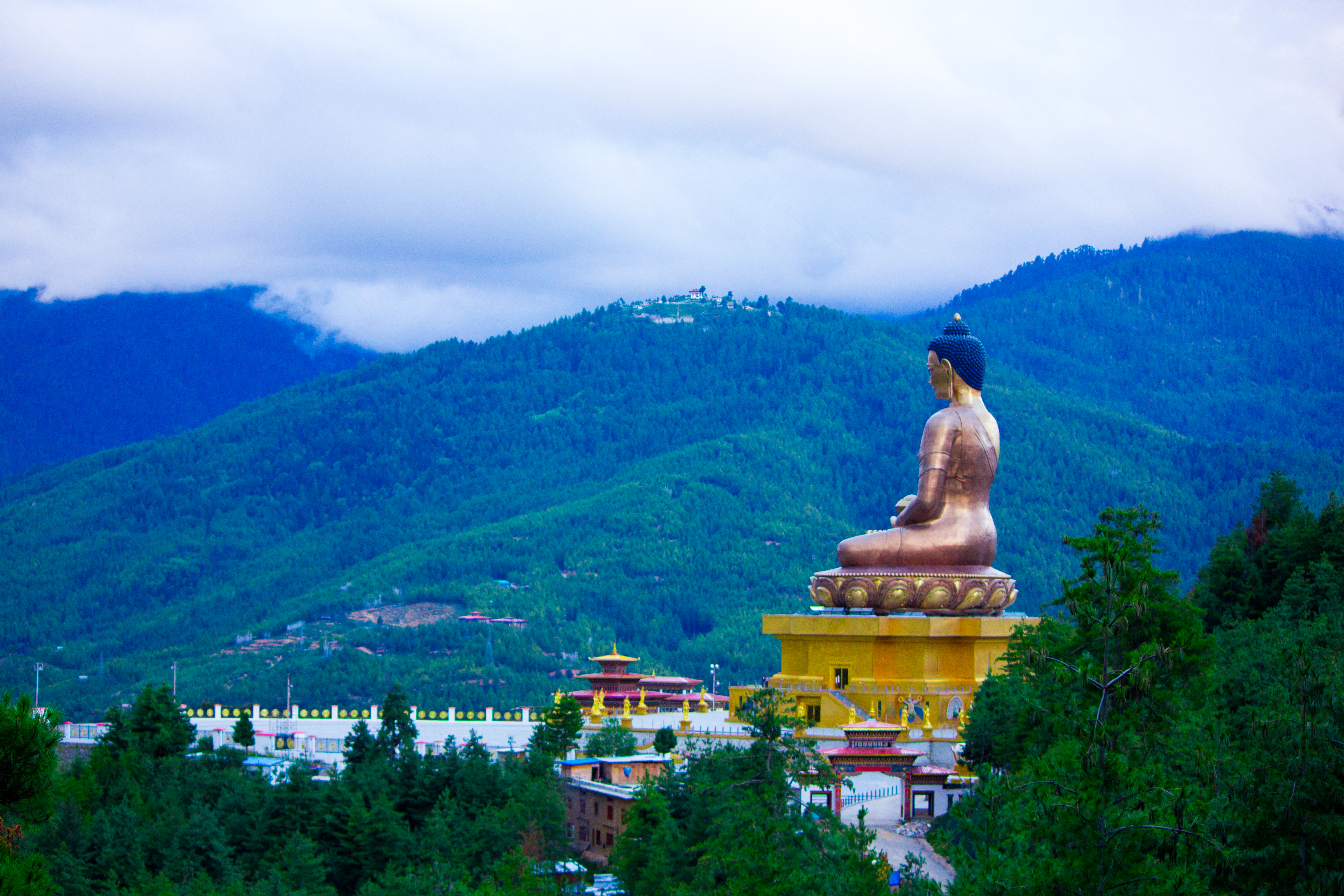 💫 Bhutan Wonders